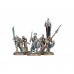 Set de figurine OSSIARCH BONEREAPERS MORTEK GUARD