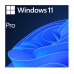 Licenta OEM Microsoft Windows 11 Pro, 64 bit, English